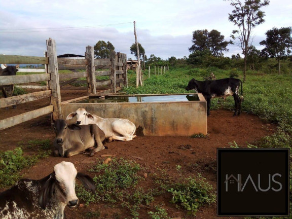 Imagem Fazenda à Venda, 350 m² em Baldim
