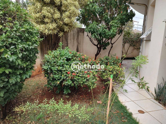 Imagem Casa com 3 Quartos à Venda ou Locação, 267 m² em Cidade Universitária - Campinas Imagem Casa com 3 Quartos à Venda ou Locação, 267 m² em Cidade Universitária - Campinas