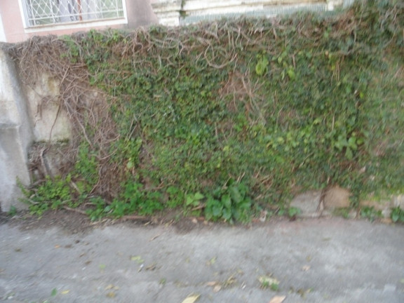 Imagem Sobrado com 4 Quartos à Venda, 162 m² em Vila Belmiro - Santos