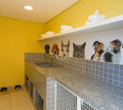 Imagem Apartamento com 2 Quartos à Venda, 41 m² em Jardim Da Saúde - São Paulo Imagem Apartamento com 2 Quartos à Venda, 41 m² em Jardim Da Saúde - São Paulo