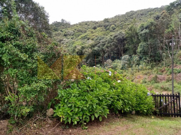 Imagem Fazenda à Venda, 64.288 m² em Barra Avencal - Rio Dos Cedros Imagem Fazenda à Venda, 64.288 m² em Barra Avencal - Rio Dos Cedros