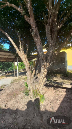 Imagem Casa com 3 Quartos à Venda, 494 m² em Terra Preta - Mairiporã