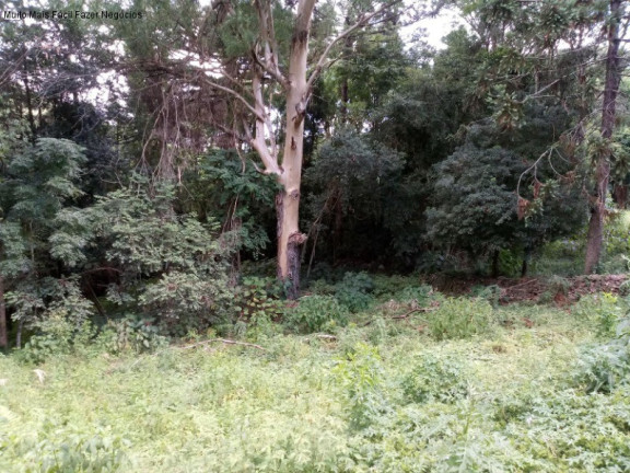 Terreno à Venda, 1.092 m² em Linha Brasil - Nova Petrópolis