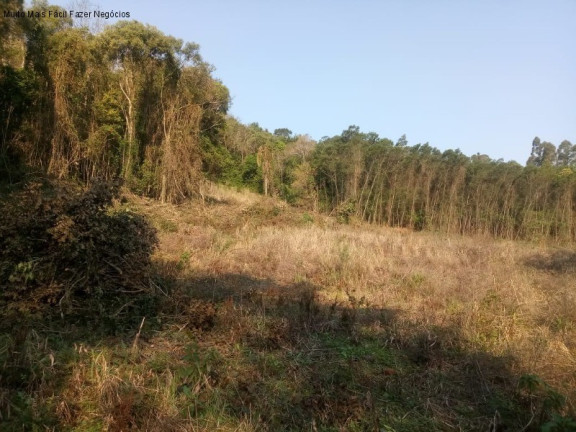 Imagem Terreno à Venda, 20 m² em Linha Temerária - Nova Petrópolis Imagem Terreno à Venda, 20 m² em Linha Temerária - Nova Petrópolis