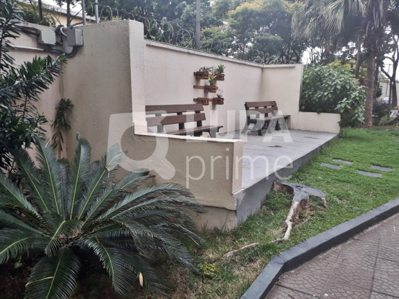 Imagem Apartamento com 3 Quartos à Venda, 61 m² em Vila Guilherme - São Paulo