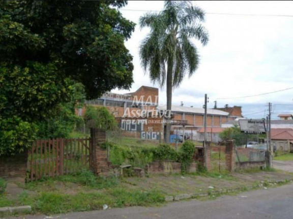 Terreno à Venda, 300 m² em Rondônia - Novo Hamburgo