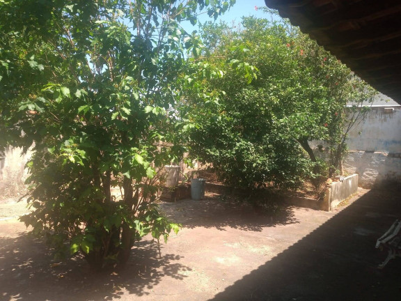 Imagem Casa com 3 Quartos à Venda, 396 m² em Jardim América - Bauru