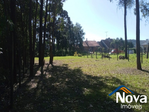 Imagem Imóvel à Venda, 682 m² em Juriti - Nova Petrópolis Imagem Imóvel à Venda, 682 m² em Juriti - Nova Petrópolis