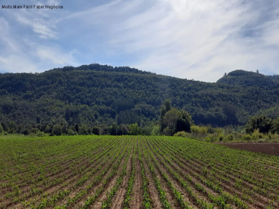 Imagem Terreno à Venda, 8 m² em Linha Temerária - Nova Petrópolis Imagem Terreno à Venda, 8 m² em Linha Temerária - Nova Petrópolis