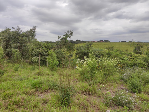 Imagem Terreno à Venda, 242.000 m² em área Rural De Limeira - Limeira Imagem Terreno à Venda, 242.000 m² em área Rural De Limeira - Limeira
