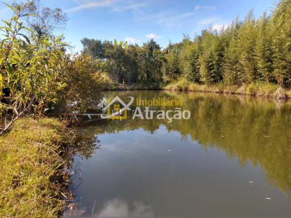 Imagem Imóvel com 2 Quartos à Venda, 33.000 m² em Ipelândia - Suzano