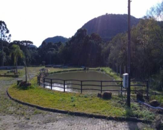 Imagem Terreno à Venda, 750 m² em Linha Araripe - Nova Petrópolis