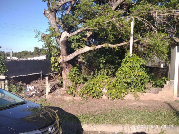 Terreno à Venda, 300 m² em Arroio Da Manteiga - São Leopoldo