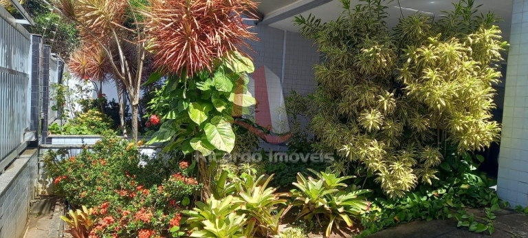 Imagem Imóvel com 2 Quartos à Venda, 80 m² em Algodoal - Cabo Frio