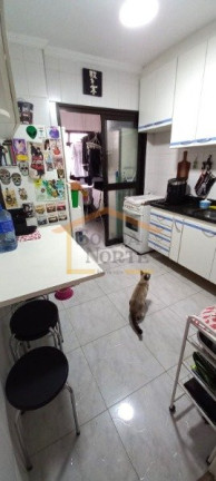 Imagem Apartamento com 2 Quartos à Venda ou Locação, 68 m² em Gopoúva - Guarulhos Imagem Apartamento com 2 Quartos à Venda ou Locação, 68 m² em Gopoúva - Guarulhos