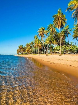 Imagem Terreno à Venda, 700 m² em Praia Do Forte - Mata De São João Imagem Terreno à Venda, 700 m² em Praia Do Forte - Mata De São João