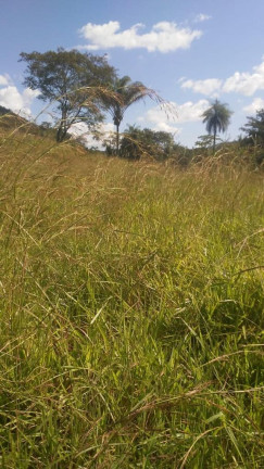 Imagem Imóvel à Venda,  em Região Central Do Tocantins - Pedro Afonso