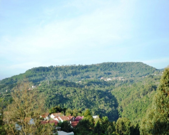 Imagem Imóvel com 3 Quartos à Venda,  em Pousada Da Neve - Nova Petrópolis