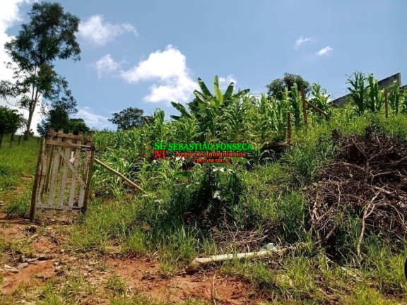 Imagem Terreno à Venda, 1 m² em Centro - Paraibuna