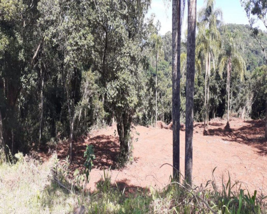 Imagem Imóvel à Venda, 1.350 m² em Pousada Da Neve - Nova Petrópolis