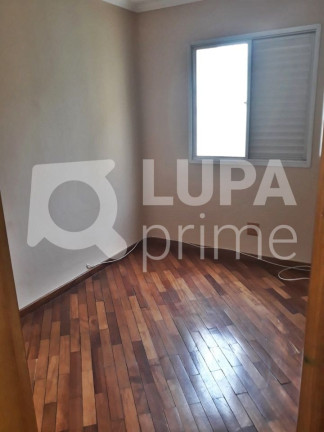 Imagem Apartamento com 3 Quartos à Venda, 61 m² em Vila Guilherme - São Paulo
