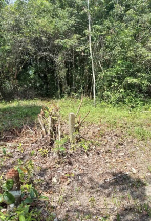 Imagem Terreno à Venda, 3 m² em Aldeia Dos Camarás - Camaragibe Imagem Terreno à Venda, 3 m² em Aldeia Dos Camarás - Camaragibe