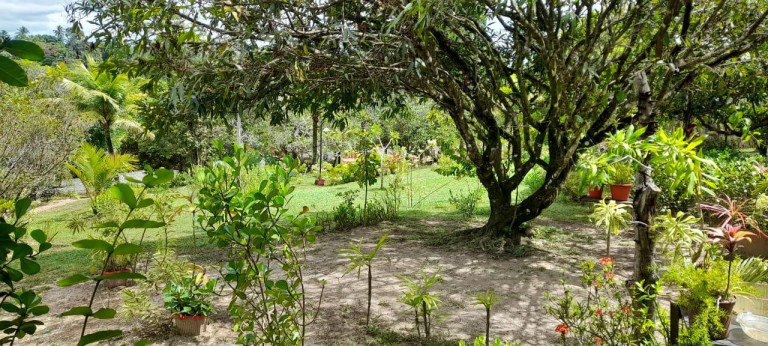 Imagem Chácara com 3 Quartos à Venda, 5.700 m² em Barra Do Pojuca (monte Gordo) - Camaçari Imagem Chácara com 3 Quartos à Venda, 5.700 m² em Barra Do Pojuca (monte Gordo) - Camaçari