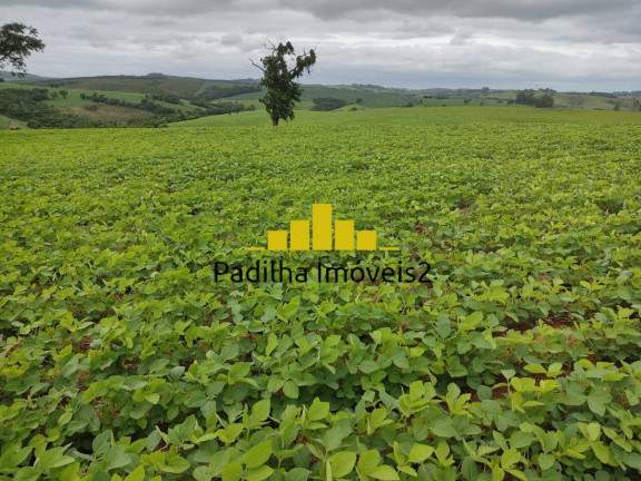 Imagem Chácara à Venda, 20 m² em Pilar Do Sul