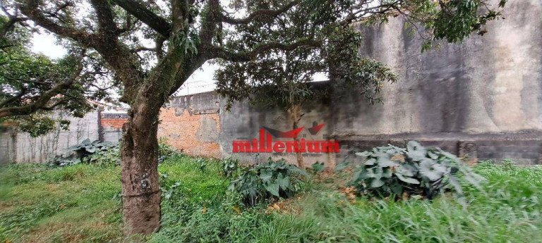 Imagem Terreno à Venda, 1.169 m² em Jardim Jaú - São Paulo Imagem Terreno à Venda, 1.169 m² em Jardim Jaú - São Paulo