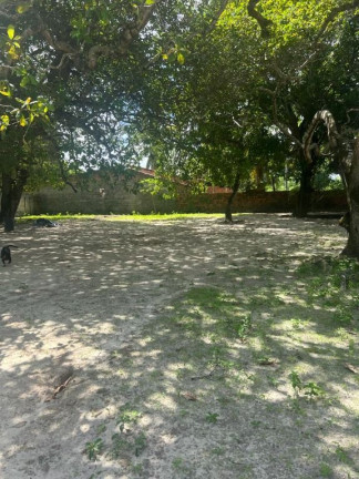 Imagem Terreno à Venda, 8.000 m² em Itapoã - Caucaia
