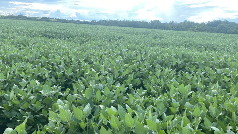 Imagem Fazenda à Venda, 963 m² em Rural - Rosário Oeste Imagem Fazenda à Venda, 963 m² em Rural - Rosário Oeste