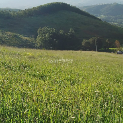 Imagem Imóvel com 2 Quartos à Venda, 266.000 m² em Branco - Lavrinhas
