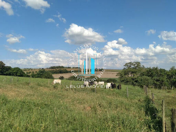 Chácara à Venda, 71.600 m² em Parque Das Arvores - Boituva