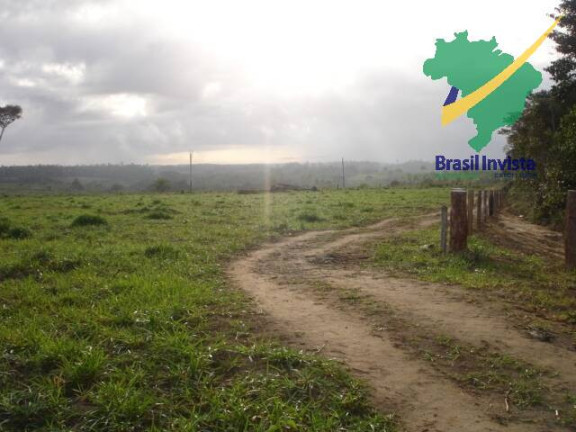 Imagem Fazenda à Venda, 12 m² em Centro - Buerarema Imagem Fazenda à Venda, 12 m² em Centro - Buerarema