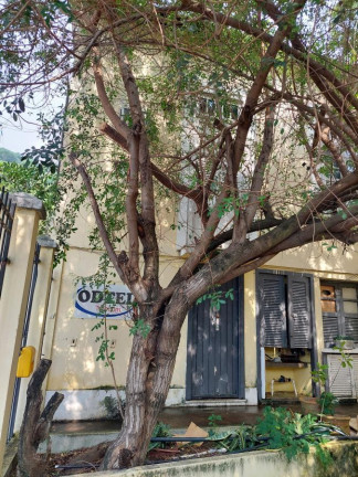 Imagem Casa com 6 Quartos à Venda, 250 m² em São Francisco Xavier - Rio De Janeiro Imagem Casa com 6 Quartos à Venda, 250 m² em São Francisco Xavier - Rio De Janeiro