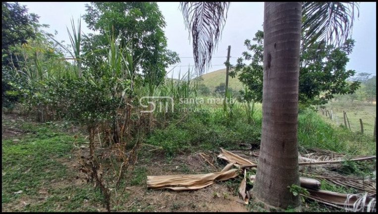 Imagem Imóvel com 2 Quartos à Venda, 811.400 m² em Paiol - Silveiras