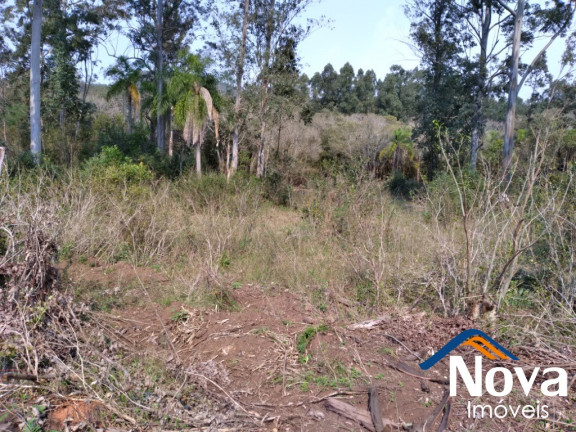 Imagem Imóvel à Venda, 12.086 m² em Vila Rica - Presidente Lucena Imagem Imóvel à Venda, 12.086 m² em Vila Rica - Presidente Lucena