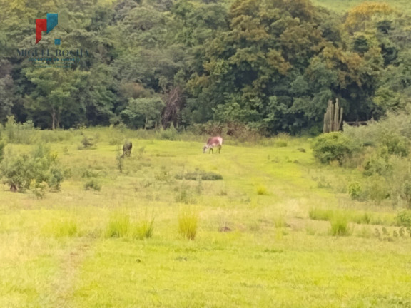 Imagem Imóvel à Venda, 205.700 m² em Centro - Quadra