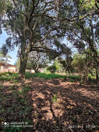 Imagem Chácara com 2 Quartos à Venda, 11 m² em Centro - Salto De Pirapora