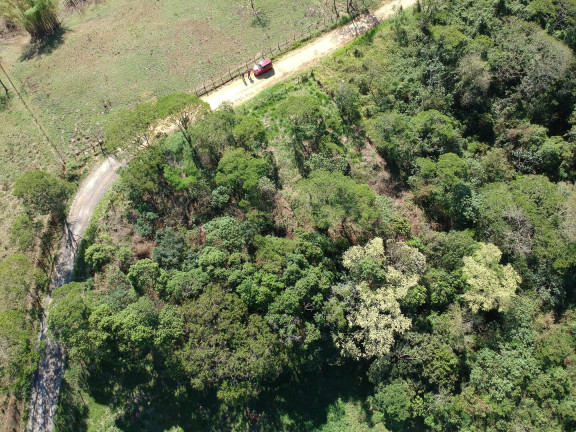Imagem Terreno à Venda, em Ipiabas - Barra Do Piraí Imagem Terreno à Venda, em Ipiabas - Barra Do Piraí