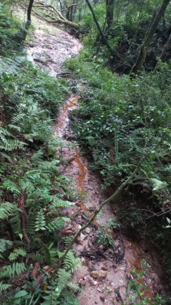 Imagem Chácara com 3 Quartos à Venda, 11 m² em Olaria - Bocaiúva Do Sul