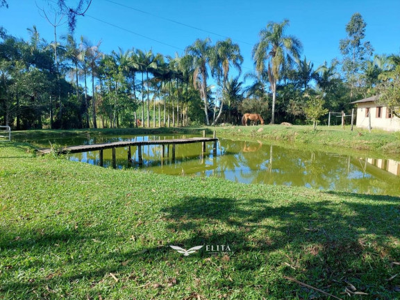 Imagem Chácara com 2 Quartos à Venda, 19.000 m² em Vila Nova - Barra Velha