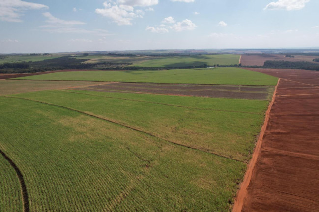 Imagem Fazenda à Venda, 64 m² em Zona Rural - Bariri Imagem Fazenda à Venda, 64 m² em Zona Rural - Bariri