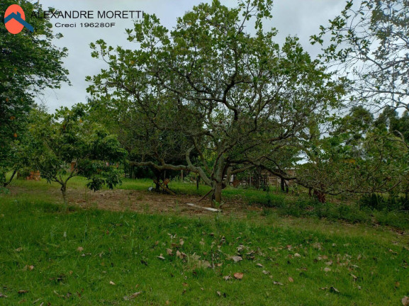 Imagem Chácara com 3 Quartos à Venda, 5.000 m² em Fazenda Oeste 1 - Araçoiaba Da Serra