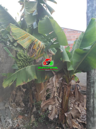 Imagem Chácara à Venda, 500 m² em Recanto Dos Nobres - São José Dos Campos Imagem Chácara à Venda, 500 m² em Recanto Dos Nobres - São José Dos Campos