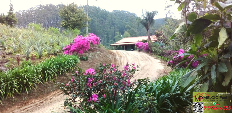 Imagem Imóvel com 3 Quartos à Venda, em Beija Flor - Major Gercino Sc Imagem Imóvel com 3 Quartos à Venda, em Beija Flor - Major Gercino Sc