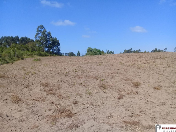 Imagem Imóvel com 2 Quartos à Venda, 80 m² em Zona Rural - Sentinela Do Sul Imagem Imóvel com 2 Quartos à Venda, 80 m² em Zona Rural - Sentinela Do Sul