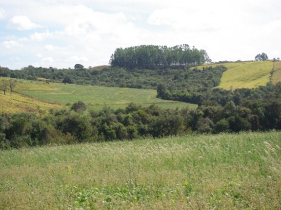Imagem Imóvel à Venda, 435.600 m² em Zona Rural - Jacui Imagem Imóvel à Venda, 435.600 m² em Zona Rural - Jacui
