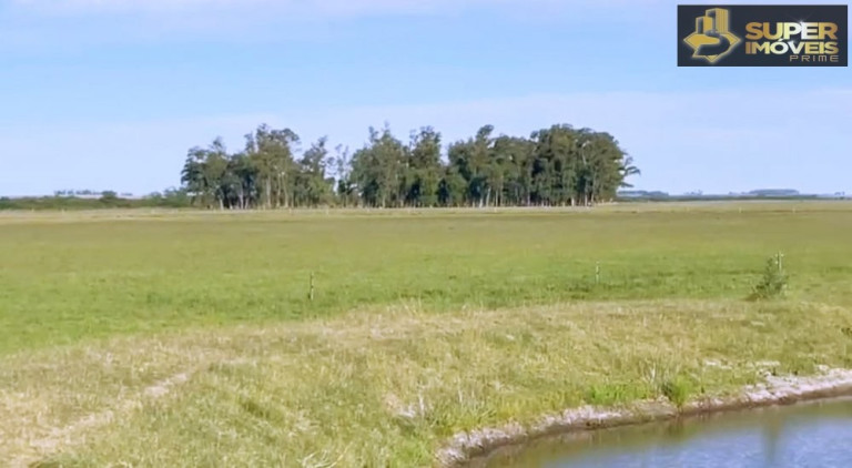 Imóvel com 3 Quartos à Venda, 25.000.000 m² em Prado - Santana Do Livramento