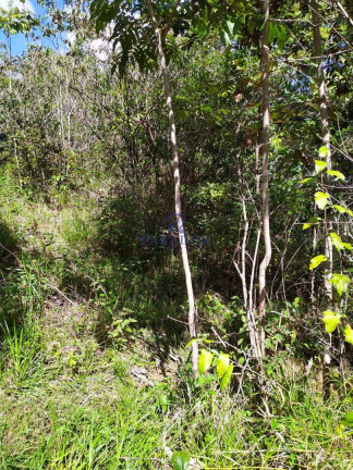 Imagem Terreno à Venda, 130.680 m² em Centro Industrial De Aratu - Simões Filho Imagem Terreno à Venda, 130.680 m² em Centro Industrial De Aratu - Simões Filho
